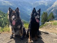 Shani und Gitan